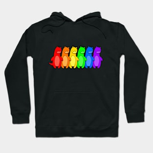 Gay Otter Rainbow Pride Hoodie